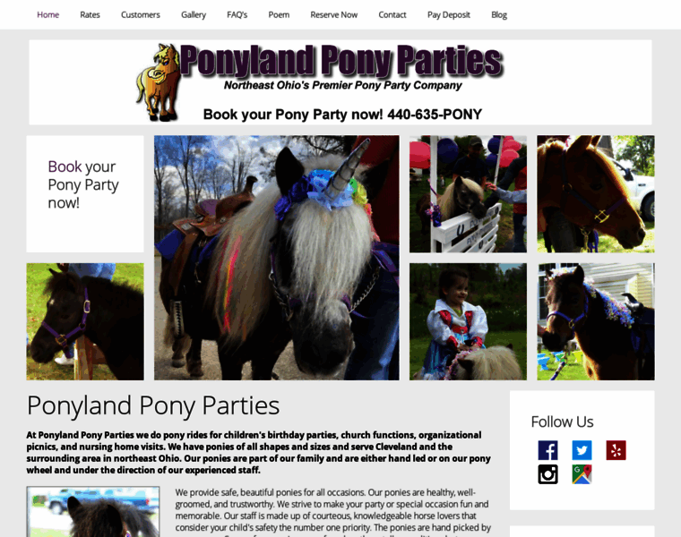 Ponylandponyparties.net thumbnail
