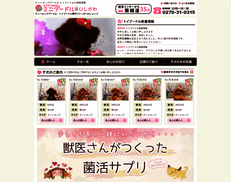 Poodle.co.jp thumbnail