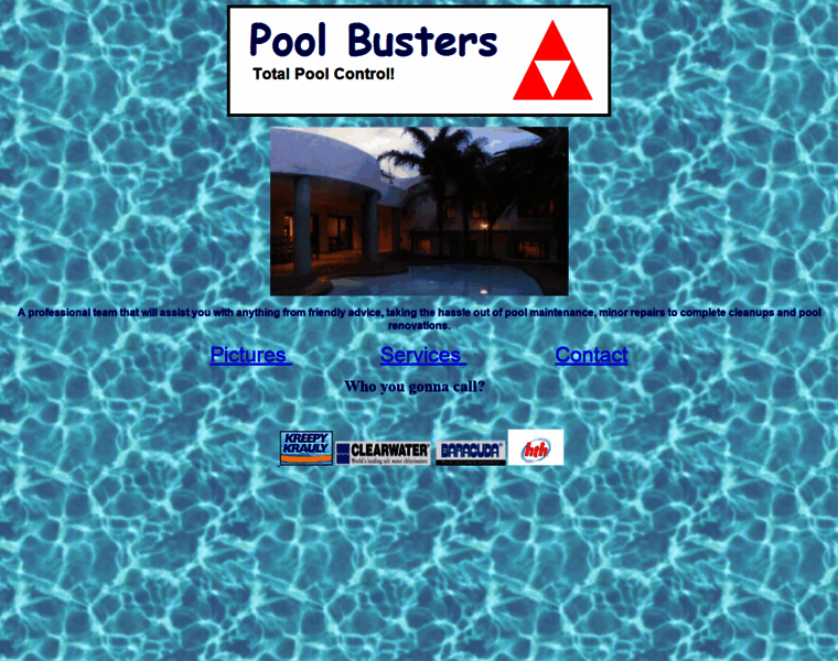 Poolbusters.co.za thumbnail