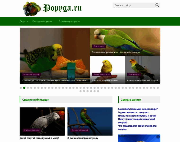 Popyga.ru thumbnail