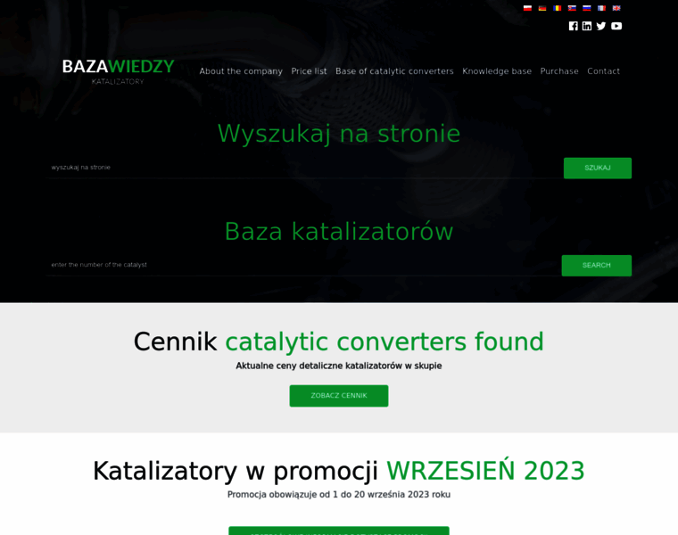 Poradnikkatalizatorow.pl thumbnail