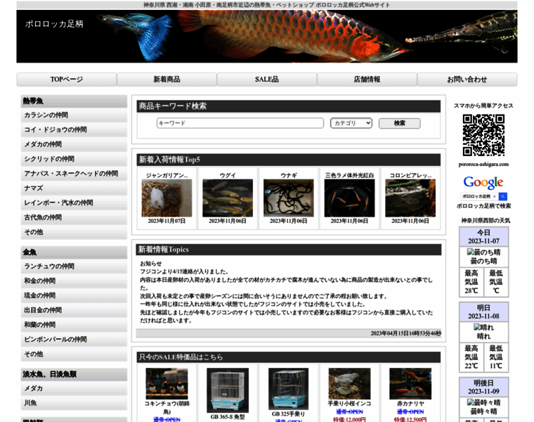 Pororoca-ashigara.com thumbnail