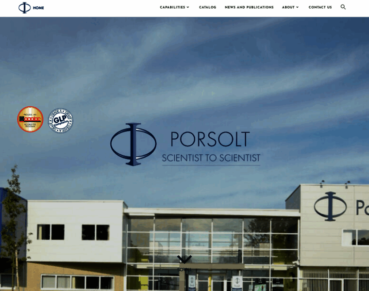 Porsolt.com thumbnail