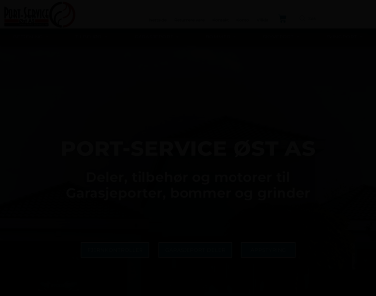 Port-service.net thumbnail