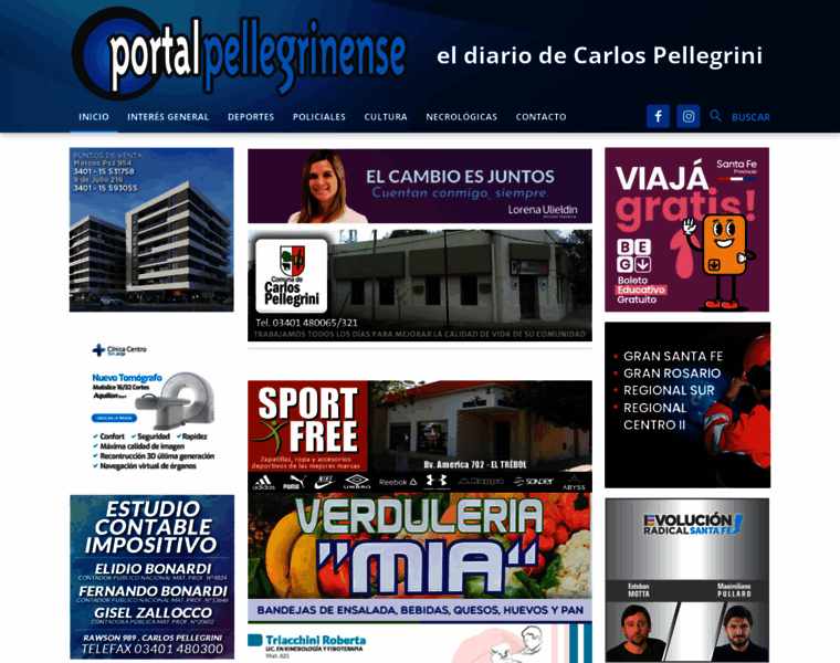 Portalpellegrinense.com.ar thumbnail