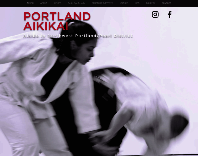 Portlandaikikai.com thumbnail