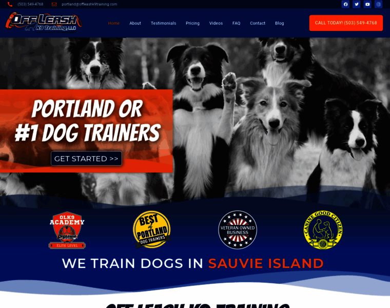 Portlandoregondogtrainers.com thumbnail