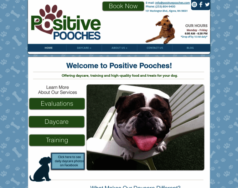 Positivepooches.com thumbnail