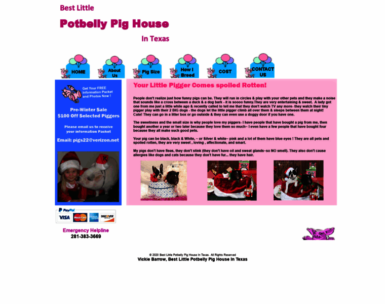 Potbelly-pigs.net thumbnail