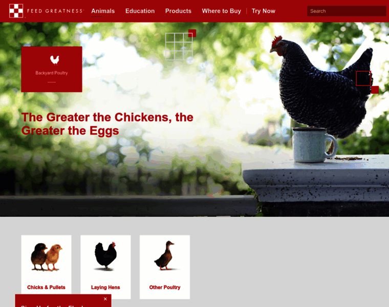 Poultry.purinamills.com thumbnail