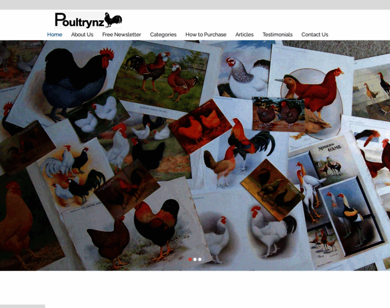 Poultrynz.com thumbnail