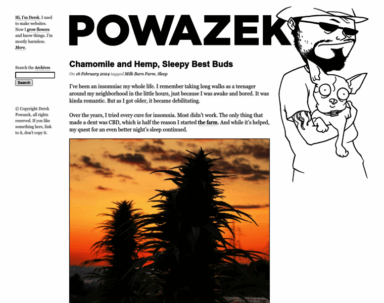 Powazek.com thumbnail