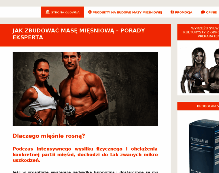 Powersuple.pl thumbnail