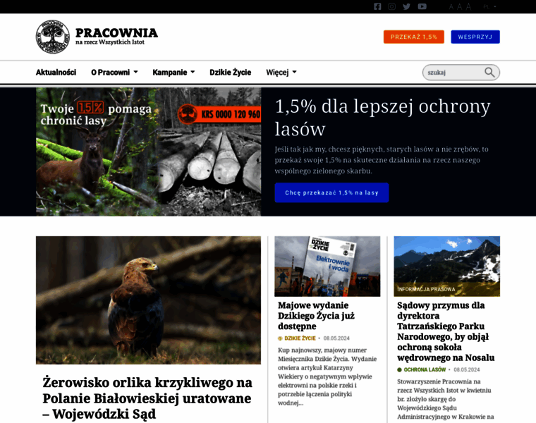 Pracownia.org.pl thumbnail