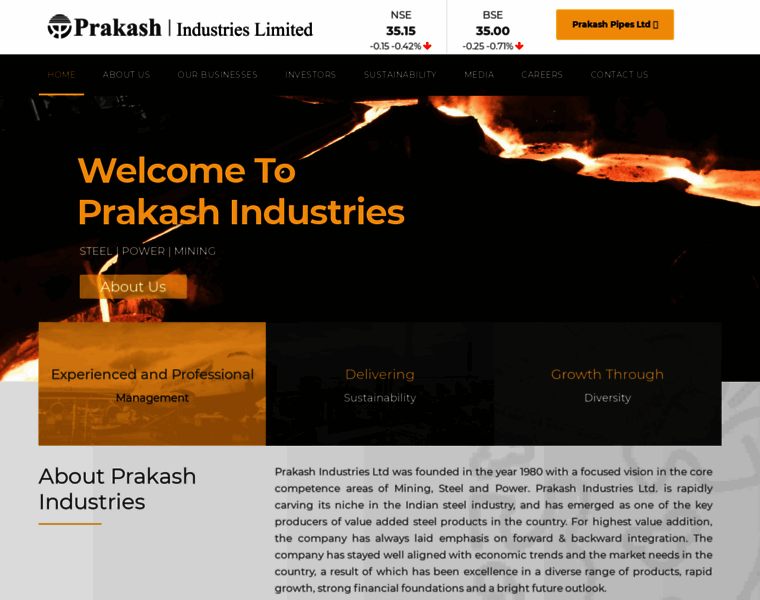 Prakash.com thumbnail