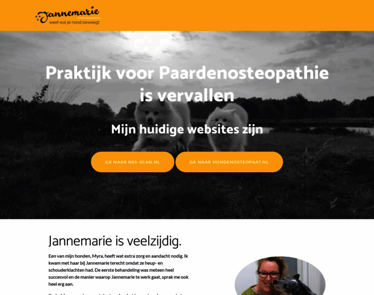 Praktijkvoorpaardenosteopathie.nl thumbnail