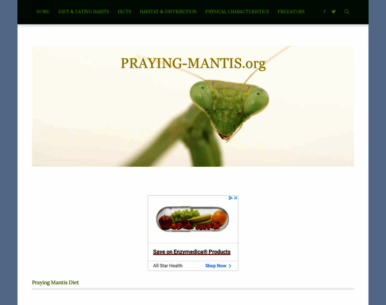 Praying-mantis.org thumbnail