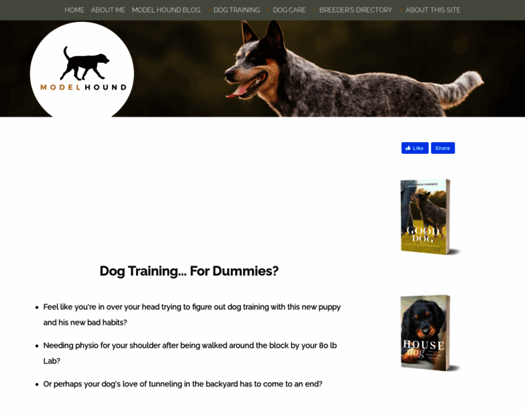 Precision-dog-training.com thumbnail
