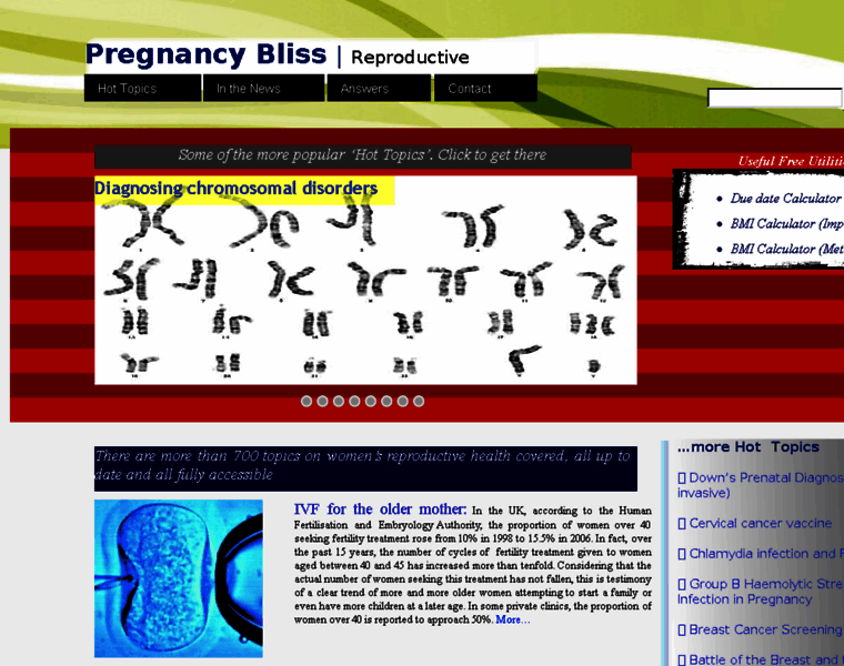 Pregnancy-bliss.co.uk thumbnail