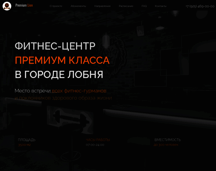 Premium-lion.ru thumbnail