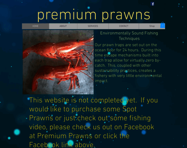 Premiumprawns.com thumbnail