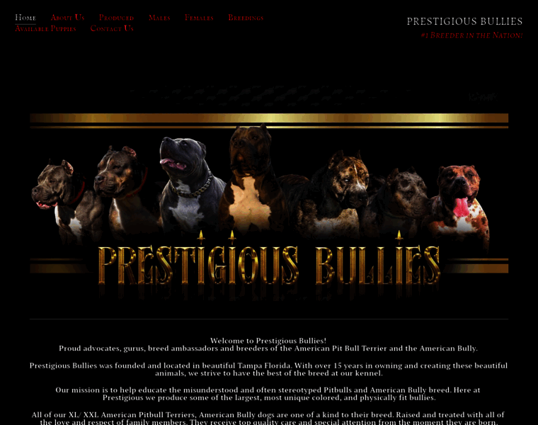 Prestigiousbullies.com thumbnail