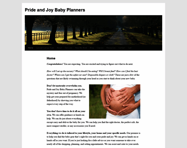 Prideandjoybabyplanners.com thumbnail