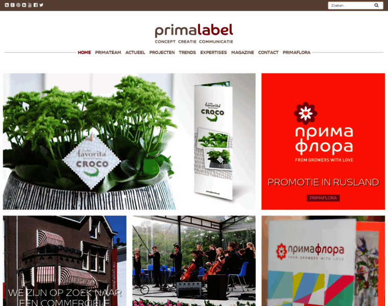 Primalabel.nl thumbnail