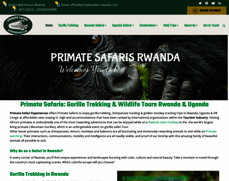 Primatesafaris-rwanda.com thumbnail