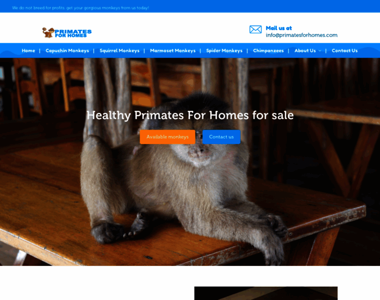 Primatesforhomes.com thumbnail