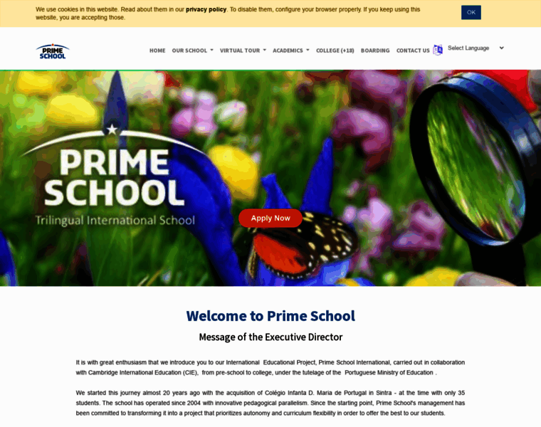 Primeschool.pt thumbnail