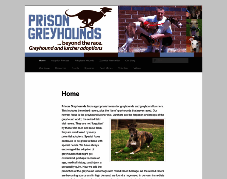 Prisongreyhounds.org thumbnail