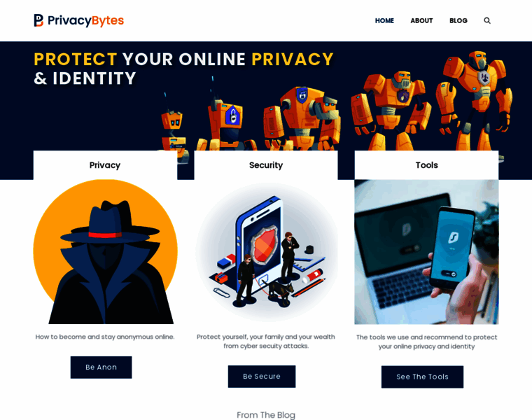 Privacybytes.com thumbnail