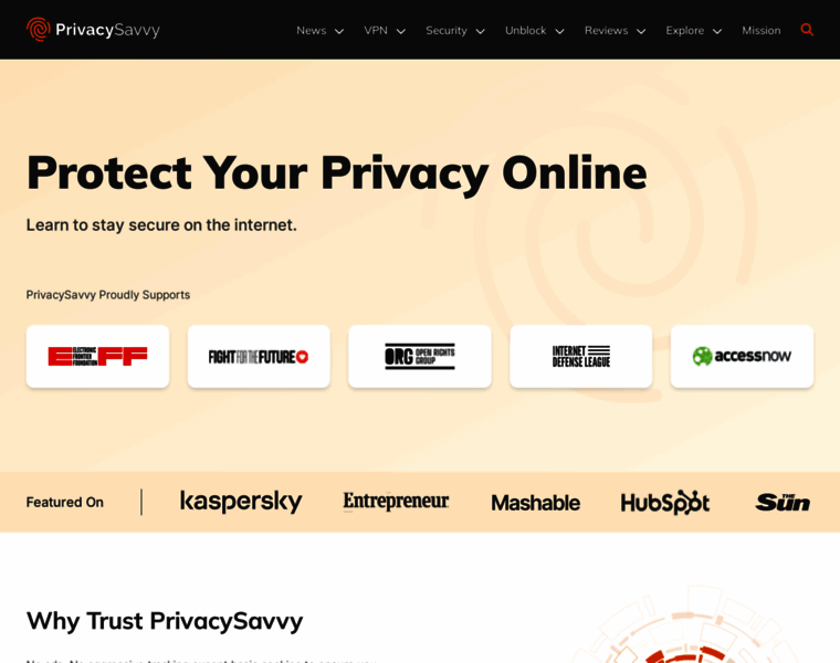 Privacysavvy.com thumbnail