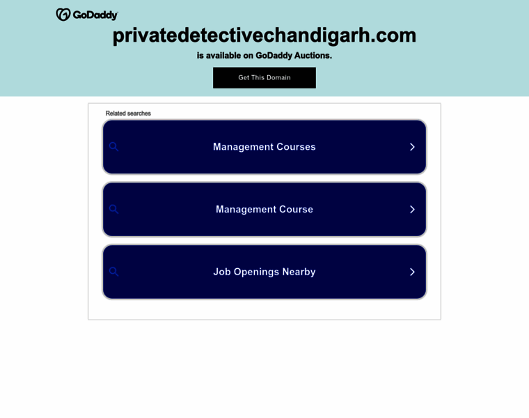 Privatedetectivechandigarh.com thumbnail