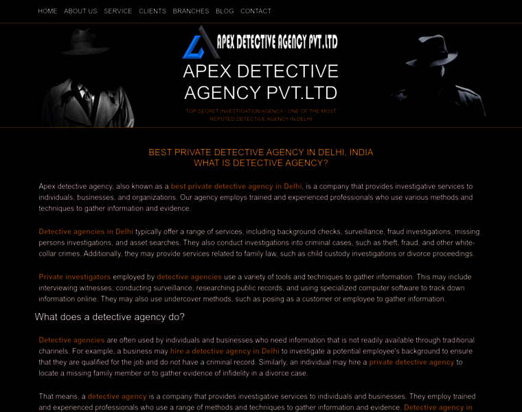 Privatetdetectiveagency.in thumbnail