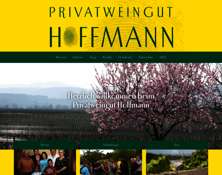 Privatweingut-hoffmann.de thumbnail