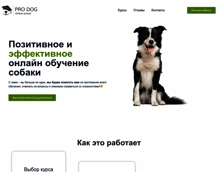 Pro-dog.ru thumbnail