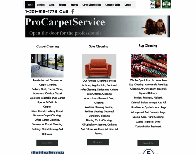 Procarpetservice.com thumbnail