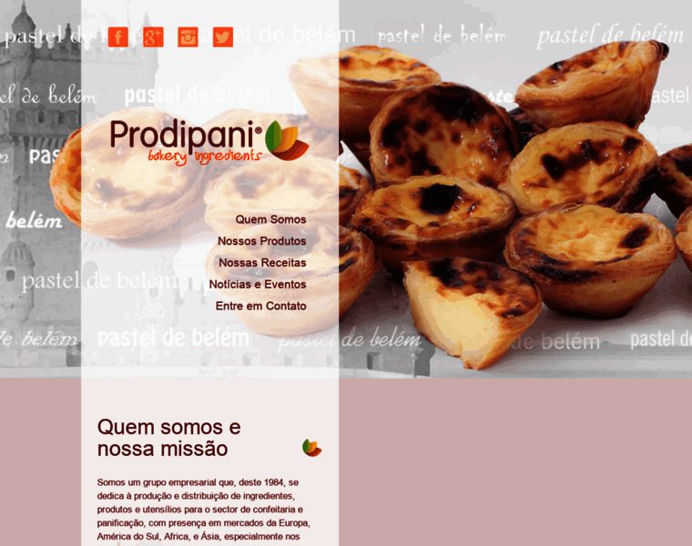 Prodipani.com.br thumbnail