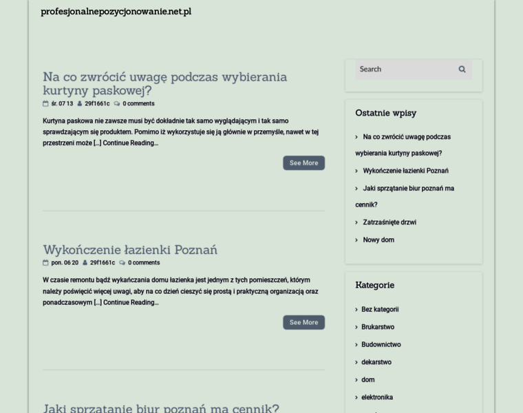 Profesjonalnepozycjonowanie.net.pl thumbnail