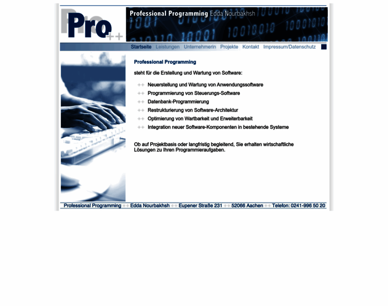 Professional-programming.de thumbnail