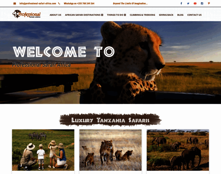 Professional-safari-africa.com thumbnail
