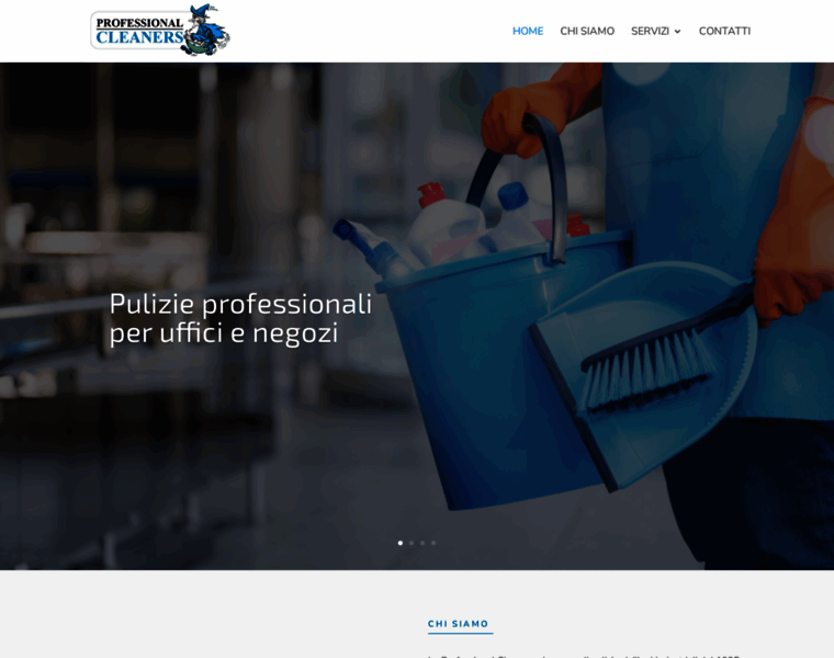 Professionalcleaners.it thumbnail