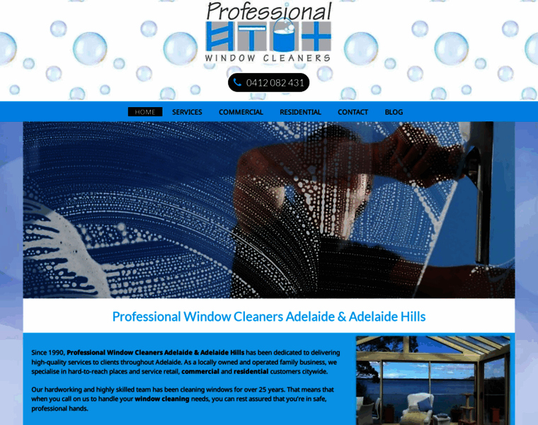 Professionalwindowcleaners.com.au thumbnail