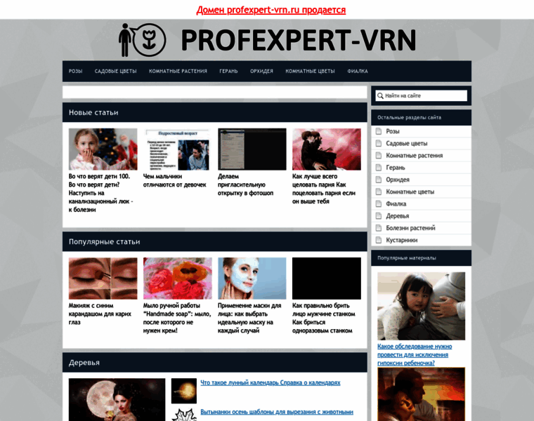 Profexpert-vrn.ru thumbnail