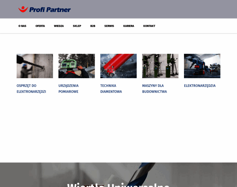 Profipartner.pl thumbnail