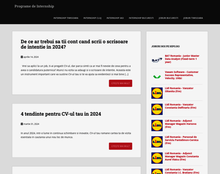 Programedeinternship.ro thumbnail