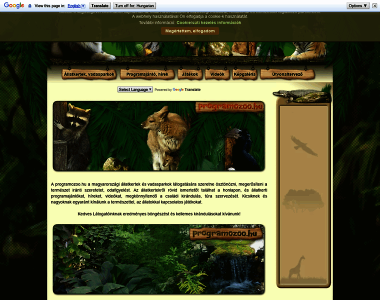 Programozoo.hu thumbnail