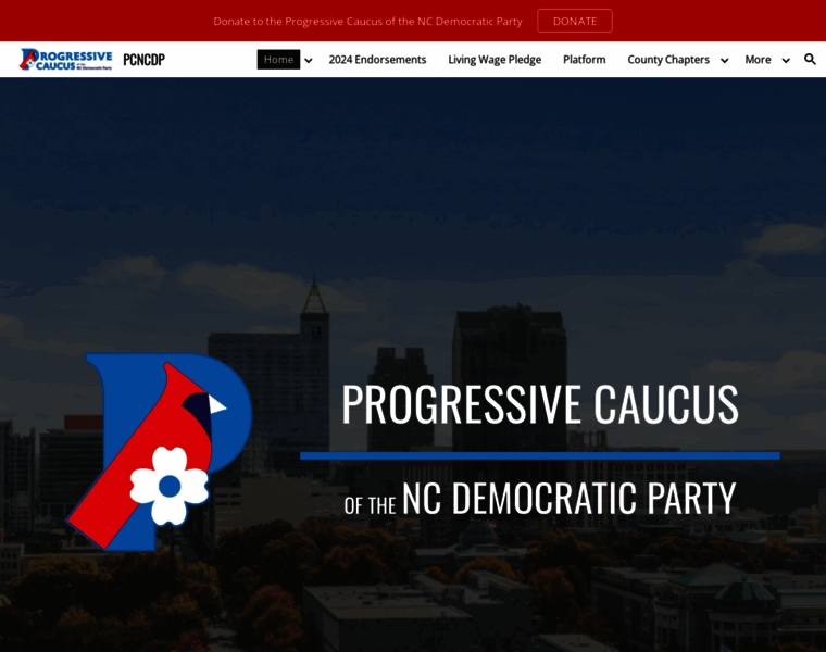 Progressivecaucusncdp.com thumbnail